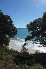 hiking towards Cathedral Cove
