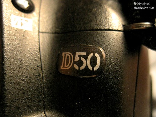 Nikon D50 in Macro