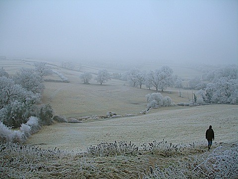 Hoar Frost in Shimmings Valley Petworth.JPG