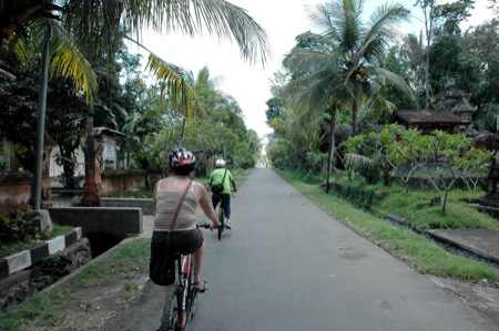 Radtour Ubud Bali Ladybamboo