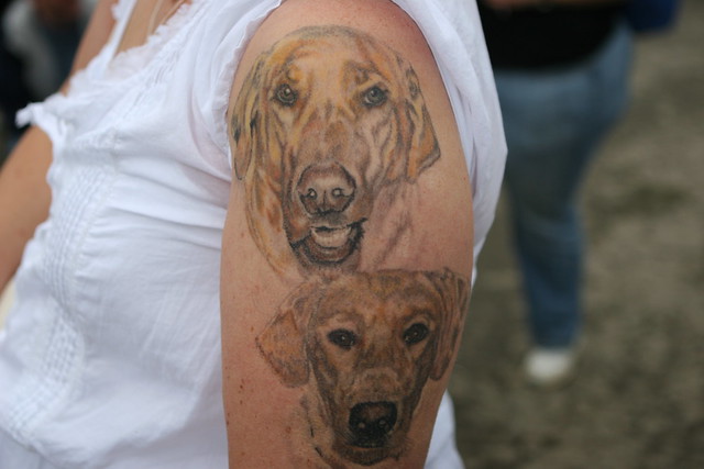 These are tattoos of the lady's dogs. I met her at the Maryland Sheep and 