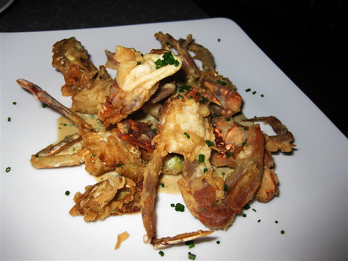 Soft Shell Crab, Policy