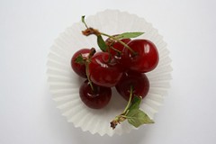Morello Cherry