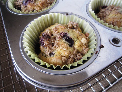 Blueberry muffins, take six