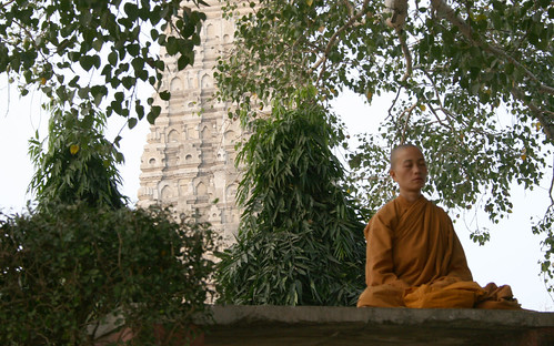 Buddhist Nun