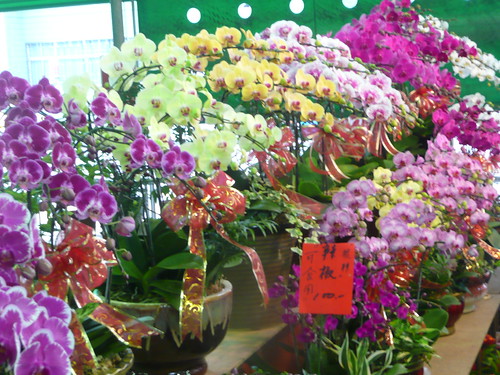 Chienkuo Flower Market - 26 April, 2009