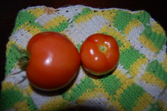 First RIPE Tomatos!
