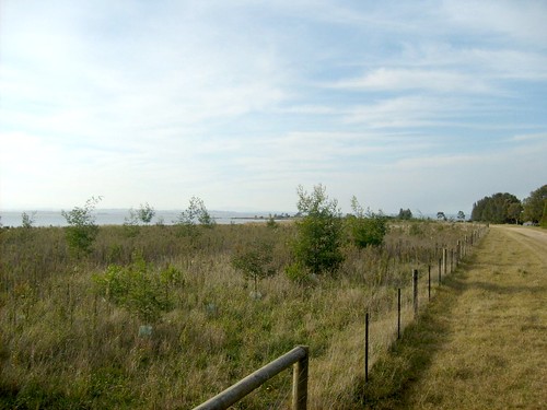 looking east to plantings from 2008