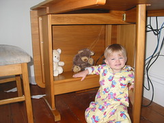 Computer Table Or Toy Cubby