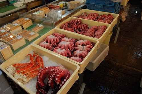 TsukijiOctopusBoxes