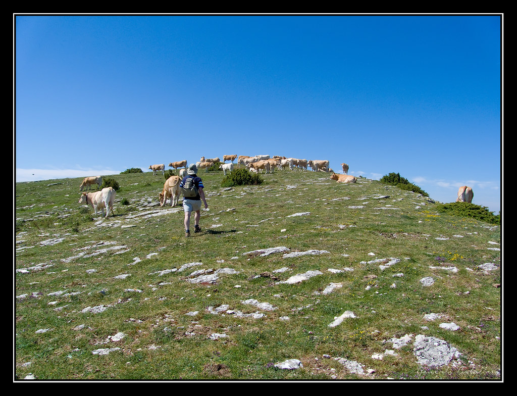 En la cima del Mortxe/Saldise (1123 m.)
