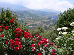 View of the Quadisha Valley from the Khalil Gi...