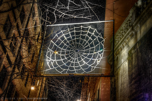 Web by alison lyons photography