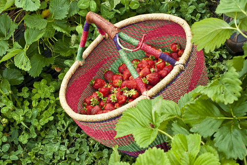 strawberry basket