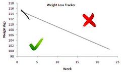 weight loss tracker week 2