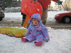 Aki in the snow