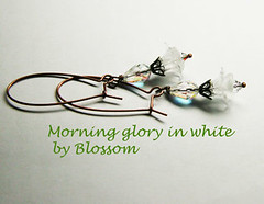morningglory-white