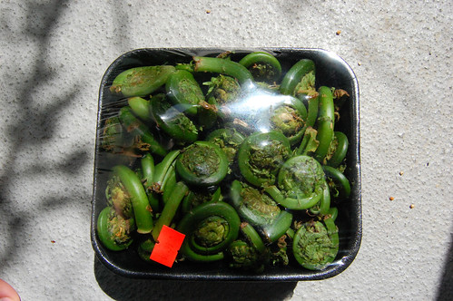 Fiddleheads packaged for a grocery store