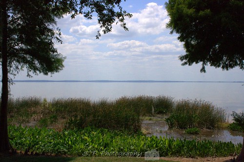 Lake Apopka