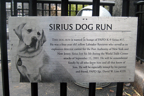 PAPD K-9 Sirius Dog Run by Sheena 2.0™.
