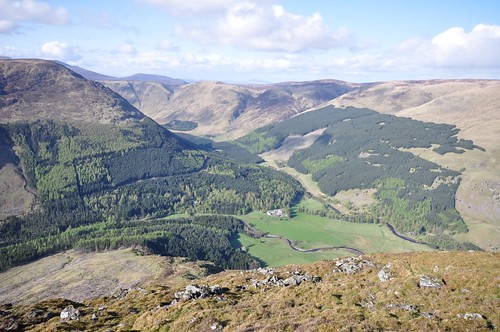 Glen Doll from the top of the Scorrie