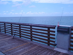 fishing poles