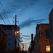 Twilight in the Alley