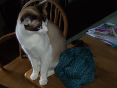 ruby with yarn