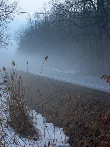 foggy day feb09
