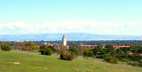 Stanford University Campus. Stanford University campus. Hoover Tower stands out dominating the skyline of Stanford University and pretty much most of the peninsula of San Francisco.