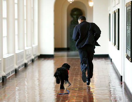 Bo and Barack Running