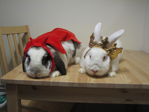 buns in costumes - betsy devil and gus king