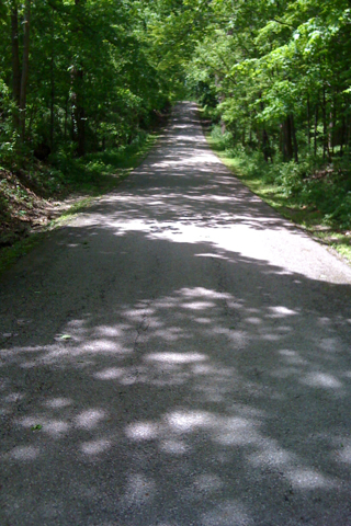 Ft Ben Trail