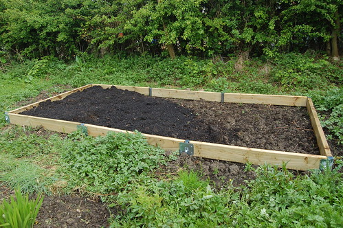 raised bed May 10