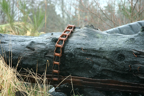 Metal Bits on an Old Log