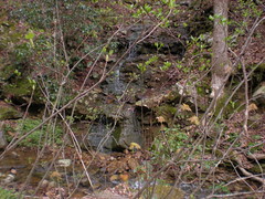 18 - Trickle Feeding Swamp Creek