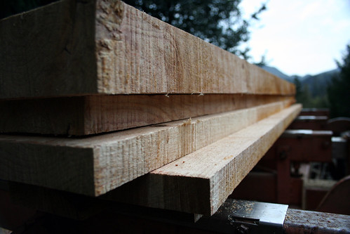 alder lumber
