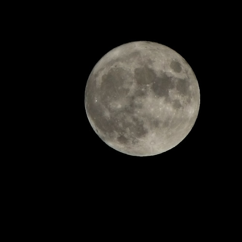 Goodnight, Moon.