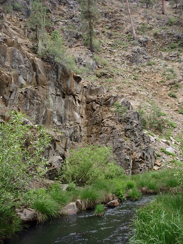 Fringe Creek