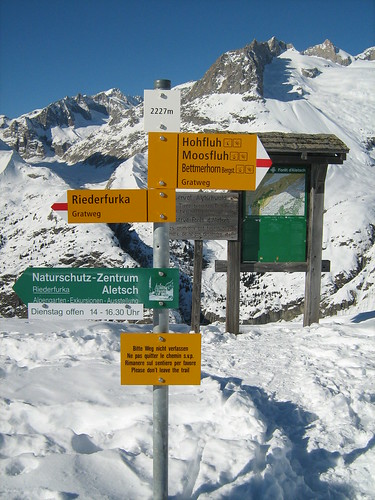 Swiss Alps-at 2227m altitude!