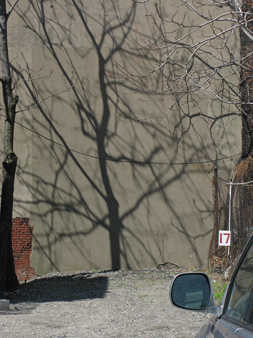 scene with tree shadow and number 17, Jersey City, NJ