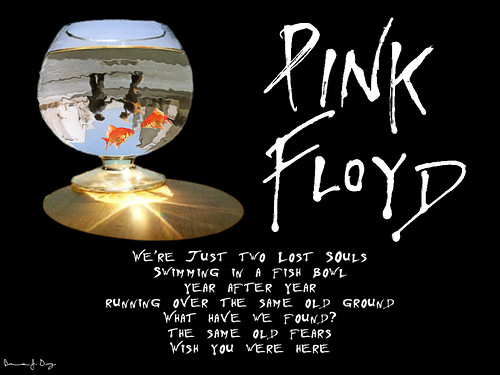 wallpaper pink floyd. Pink Floyd Wallpaper - Wish