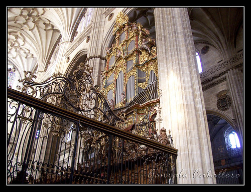 Organo de Evangelio de la Catedral Nueva de Salamanca - Fachada del coro