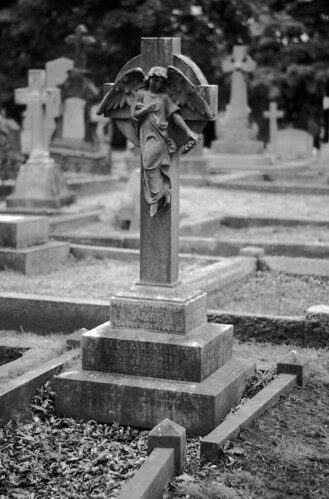 Angel In Cemetery 