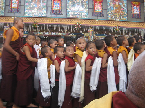 Small monks in queue to receive blessings, by Lopon Tshultrim Tentar
