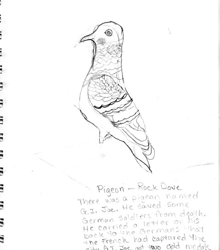 Pigeon by Zipp (age 9)