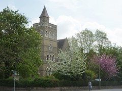 Oxford Institute of Ageing