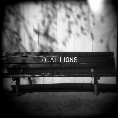 Ojai Lions