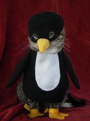 penguin-cat