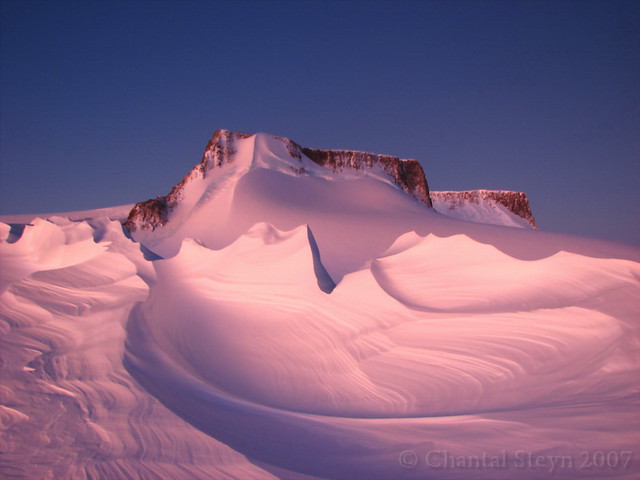 Vesleskarvet - Antarctica 58